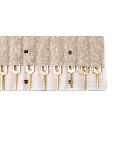Human Organs Tuning Forks Set