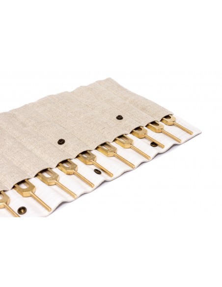 Human Organs Tuning Forks Set