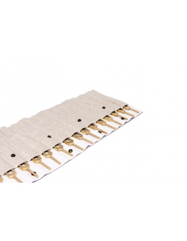 Human Organs Tuning Forks Set