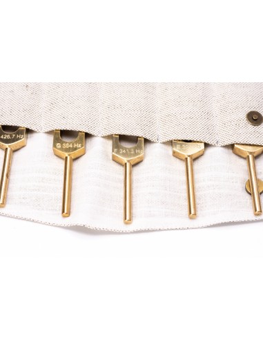 Harmonic Spectrum Tuning Forks Set