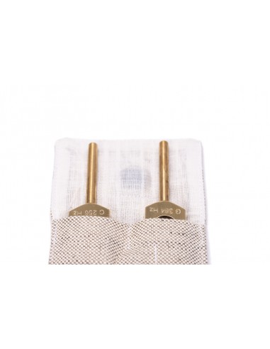 C & G tuning forks set