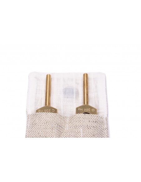 C & G tuning forks set